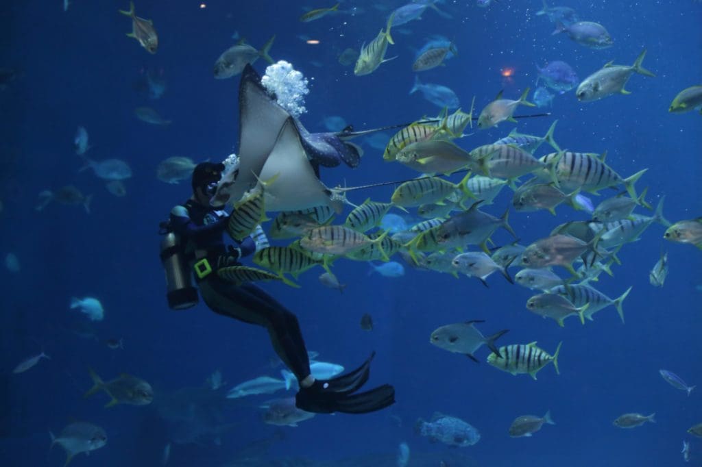 Aquarium scaled e1666209163345
